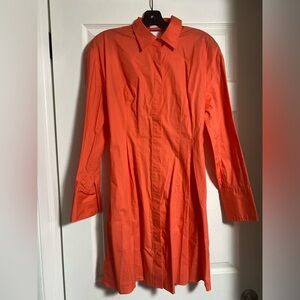 Scanlan Theodore Dress